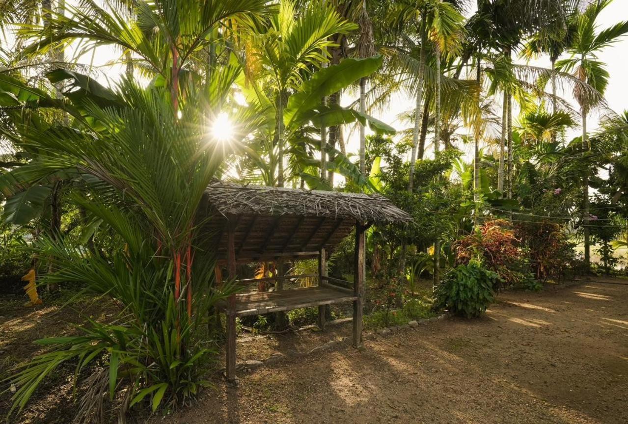 Cocozone Stays Alappuzha Esterno foto